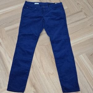 GAP 1969 Deep Blue Velour Jeans 8